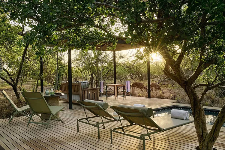 O Melhor da África do Sul - Deluxe